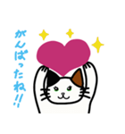 癒しねこにゃあこ（個別スタンプ：13）