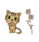 スーパー猫の日スタンプ トラちゃん（個別スタンプ：4）