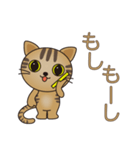 スーパー猫の日スタンプ トラちゃん（個別スタンプ：11）