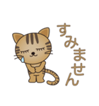 スーパー猫の日スタンプ トラちゃん（個別スタンプ：14）