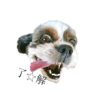Mix犬ふうはちゃん！（個別スタンプ：2）