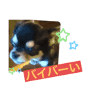 くーぺろこ（個別スタンプ：2）
