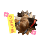 くーぺろこ（個別スタンプ：9）