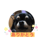 くーぺろこ（個別スタンプ：12）