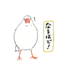 白い文鳥スタンプ（個別スタンプ：4）