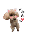 みんなの木村さん（個別スタンプ：30）