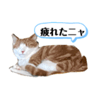 平和猫村ねこづくし（個別スタンプ：3）