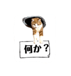 平和猫村ねこづくし（個別スタンプ：7）