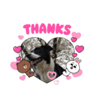 my Border collie＆Standard poodle➀（個別スタンプ：2）