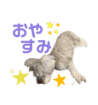 なぎのセリフスタンプ（個別スタンプ：8）
