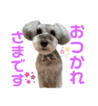 なぎのセリフスタンプ（個別スタンプ：15）
