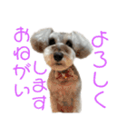 なぎのセリフスタンプ（個別スタンプ：26）