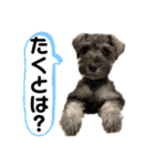 なぎのセリフスタンプ（個別スタンプ：35）