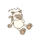 にゃかよしにゃんこ（個別スタンプ：21）