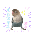 シロボタンくぅちゃん（個別スタンプ：1）