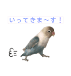 シロボタンくぅちゃん（個別スタンプ：2）