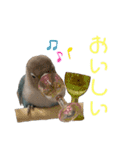 シロボタンくぅちゃん（個別スタンプ：9）