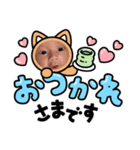 るかくん1213（個別スタンプ：3）