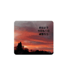 空 といつも一緒（個別スタンプ：4）