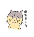 ねこよしねこ吉の敬語あいさつ（個別スタンプ：11）