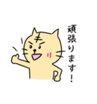 ねこよしねこ吉の敬語あいさつ（個別スタンプ：17）