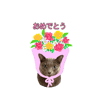 白っぽい犬と黒っぽい猫。2（個別スタンプ：5）