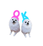 白っぽい犬と黒っぽい猫。2（個別スタンプ：7）