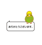 インコとオカメ（個別スタンプ：5）