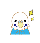 インコとオカメ（個別スタンプ：11）