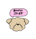 ふきだしわんこ（個別スタンプ：1）