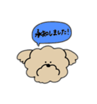 ふきだしわんこ（個別スタンプ：3）