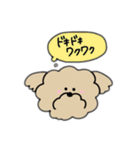 ふきだしわんこ（個別スタンプ：36）