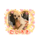 モコたん3（個別スタンプ：8）