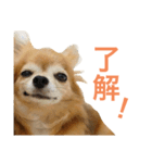 I am Peace！（個別スタンプ：2）