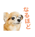 I am Peace！（個別スタンプ：15）