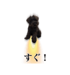 びゃんちゃんスタンプ2（個別スタンプ：10）