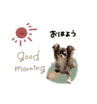 ♡misato様（個別スタンプ：1）
