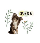 ♡misato様（個別スタンプ：6）
