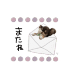♡misato様（個別スタンプ：7）