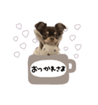 ♡misato様（個別スタンプ：11）