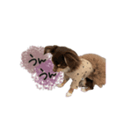♡misato様（個別スタンプ：14）