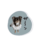 ♡misato様（個別スタンプ：15）
