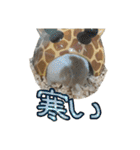 ハムとネコだらけ（個別スタンプ：3）