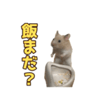 ハムとネコだらけ（個別スタンプ：4）