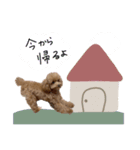 ♡moe.様（個別スタンプ：8）