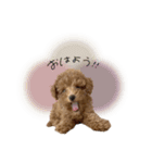♡moe.様（個別スタンプ：9）