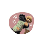 ♡moe.様（個別スタンプ：10）