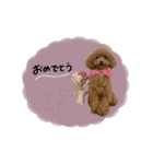 ♡moe.様（個別スタンプ：11）