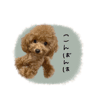 ♡moe.様（個別スタンプ：13）