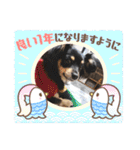 チワックスのシュカ  まいにち（個別スタンプ：39）